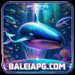 baleiapg - Gaming Plus