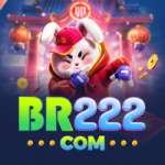 br222 Casino Official v1.8.5